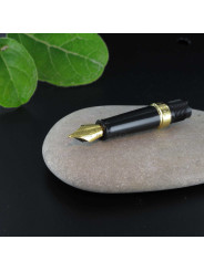 Bloc Plume de Rechange GT "Hémisphère Deluxe" WATERMAN® (Fin)