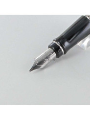 Bloc Plume de Rechange Acier "Expert" WATERMAN® pour stylos plumes "Expert" (Médium)