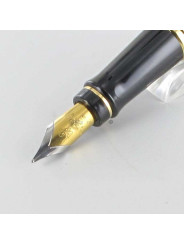 Bloc Plume de Rechange Doré Or "Expert" WATERMAN® pour stylos plumes "Expert" (Médium)