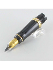 Bloc Plume de Rechange Doré Or "Expert" WATERMAN® pour stylos plumes "Expert" (Médium)