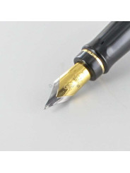 Bloc Plume de Rechange Doré Or "Expert" WATERMAN® pour stylos plumes "Expert" (Médium)