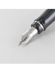 Bloc Plume de Rechange Acier "Expert" WATERMAN® pour stylos plumes "Expert" (Médium)