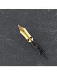 Plume moyenne + Conduit PARKER® SONNET Doré