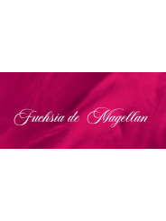 Flacon d'encre Fuchsia de Magellan 50 ml 1670  J. Herbin®